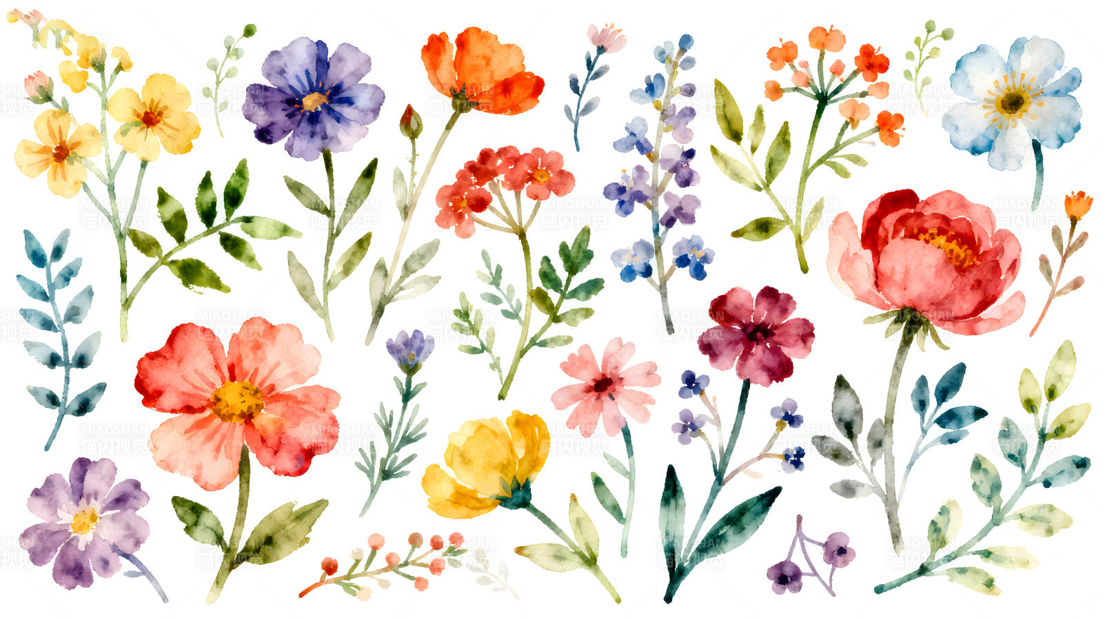 水彩绘制的缤纷花卉图案图片