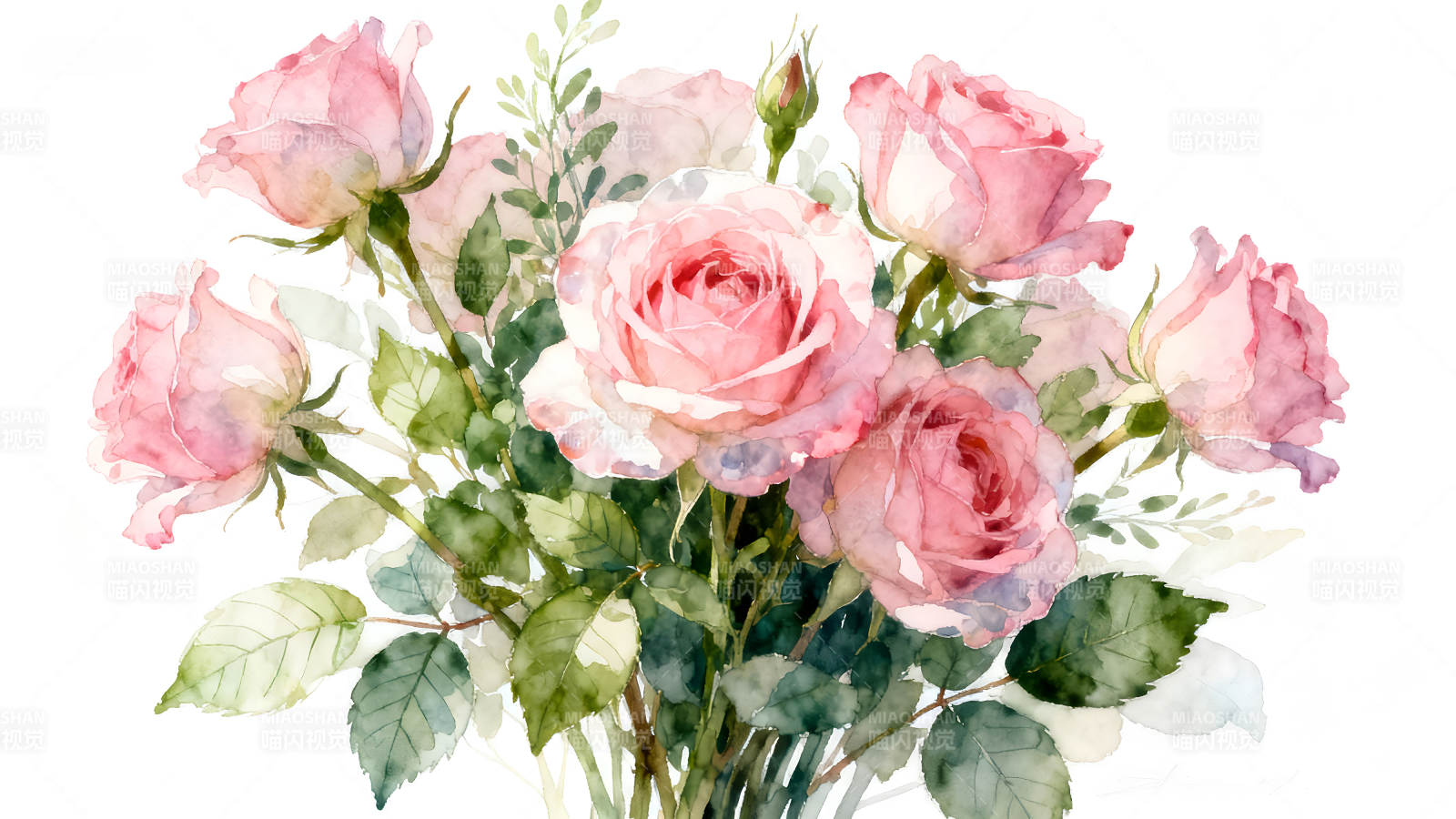 水彩粉色玫瑰花束圖-圖片