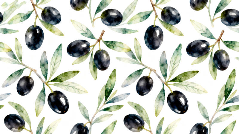 水彩橄榄枝图案背景-图片