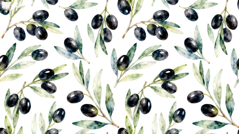 橄榄枝水彩图案设计-图片