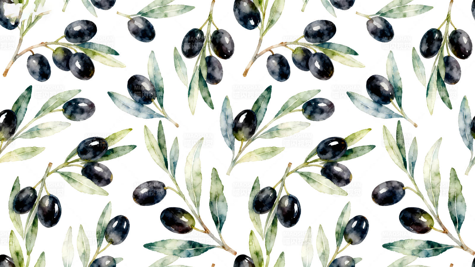 橄欖枝水彩圖案設計圖片