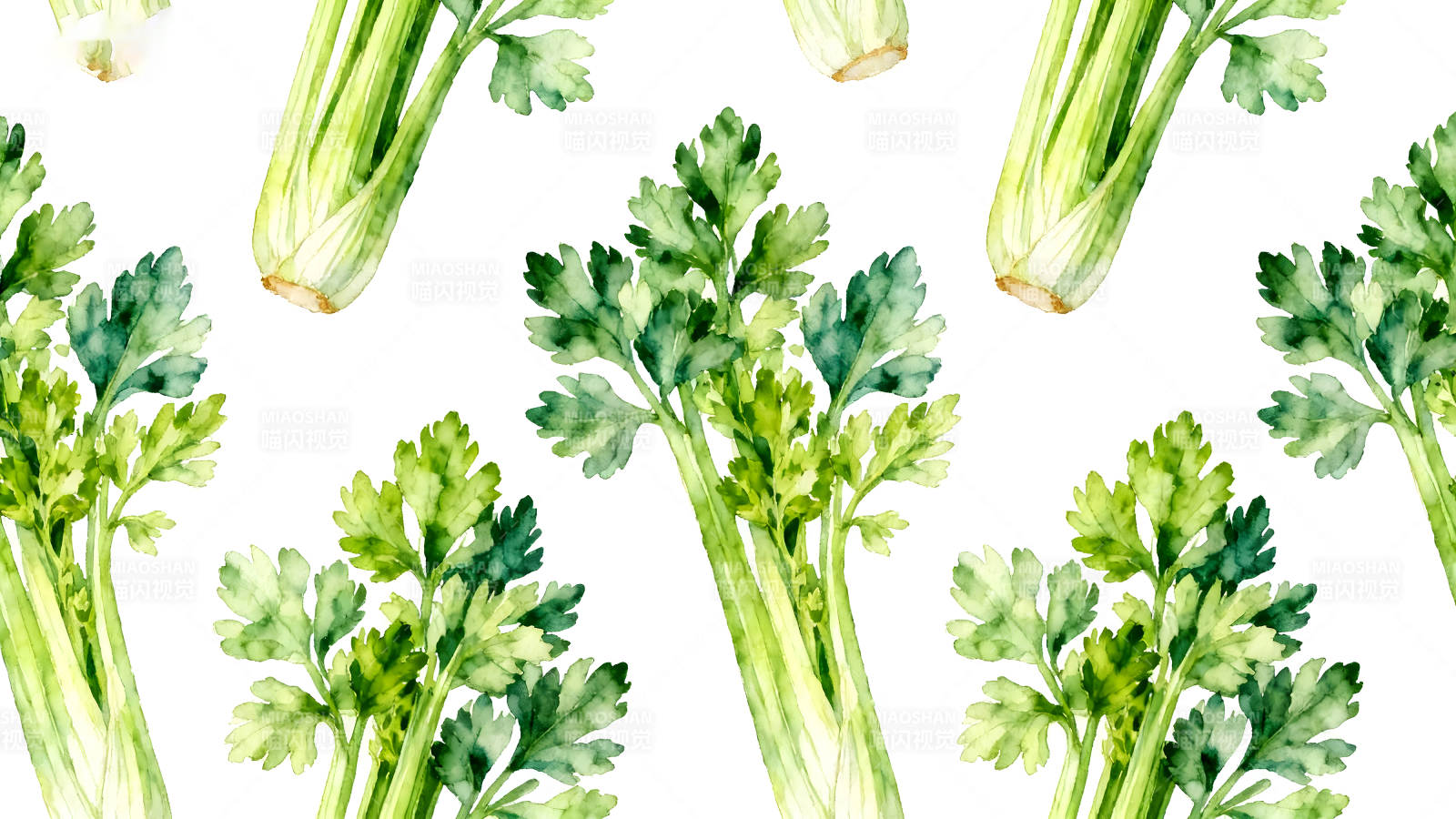 水彩風格的芹菜圖案背景圖片