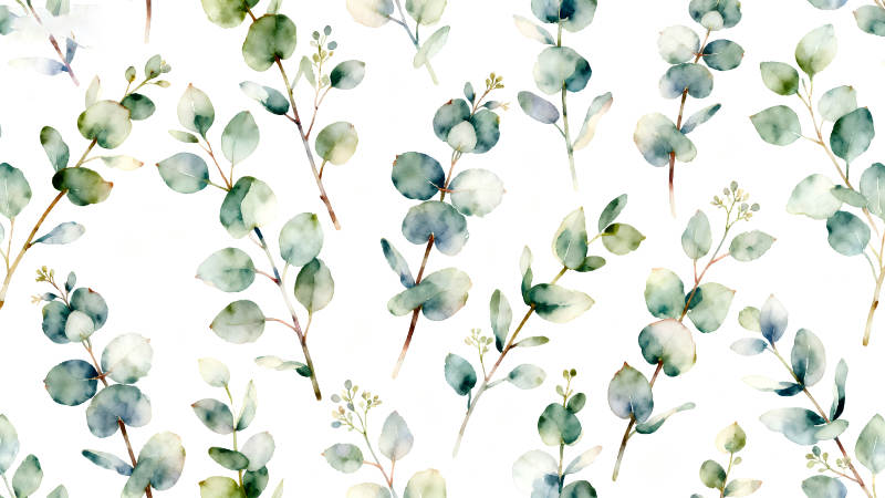 水彩桉树叶子图案清新淡雅-图片