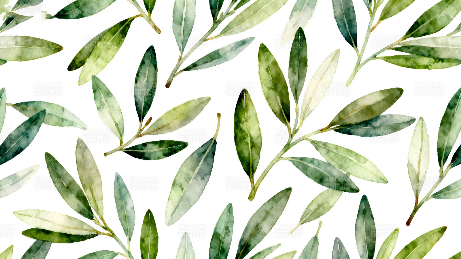 水彩风格的橄榄叶图案-图片