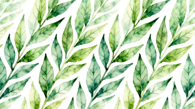 水彩叶子图案清新自然-图片