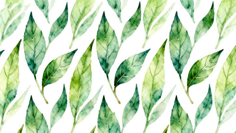 水彩绿叶纹理背景图案-图片