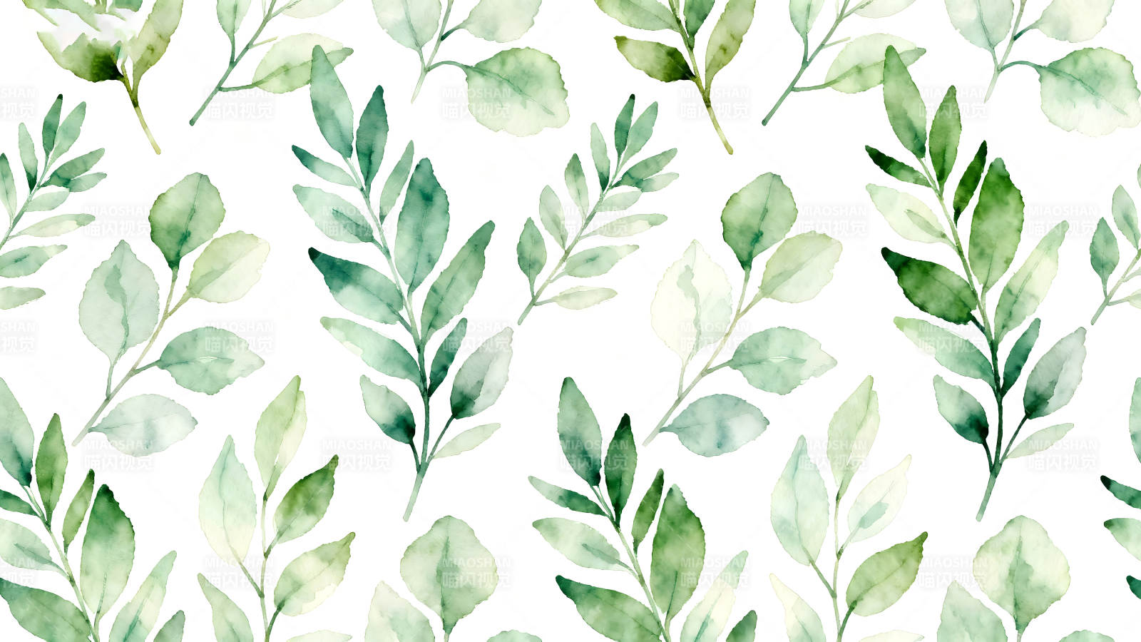 水彩葉子圖案白色背景圖片