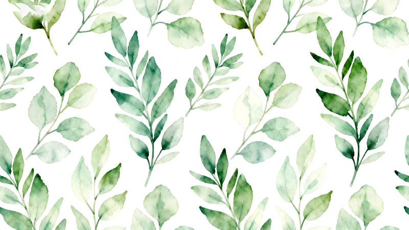 水彩叶子图案白色背景-图片