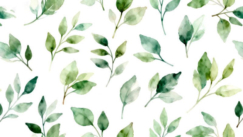 水彩绿叶图案清新自然-图片