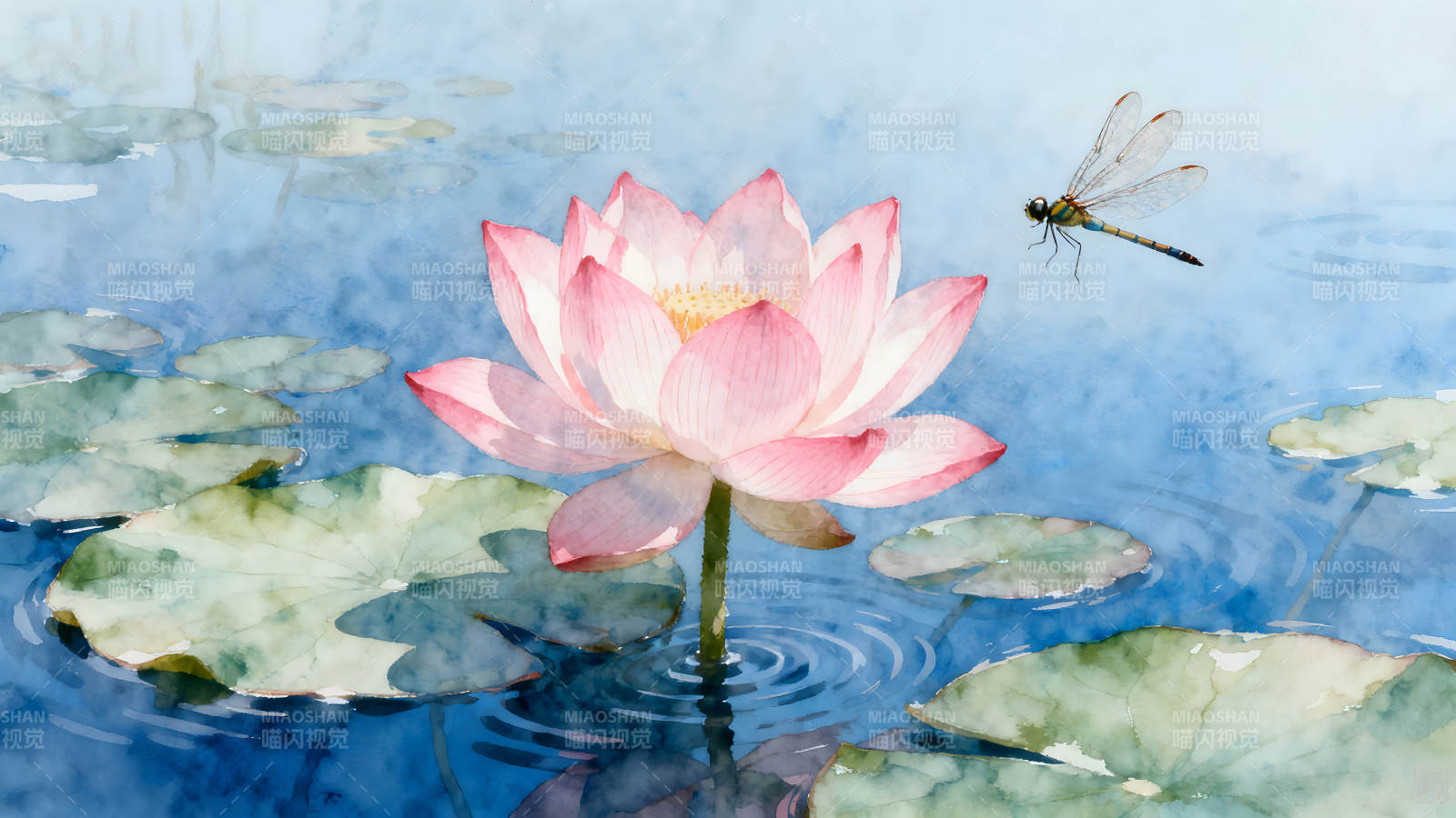 蓮花與蜻蜓在水中畫面唯美-圖片