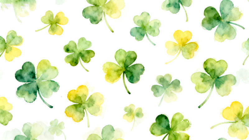 水彩三叶草图案白色背景-图片