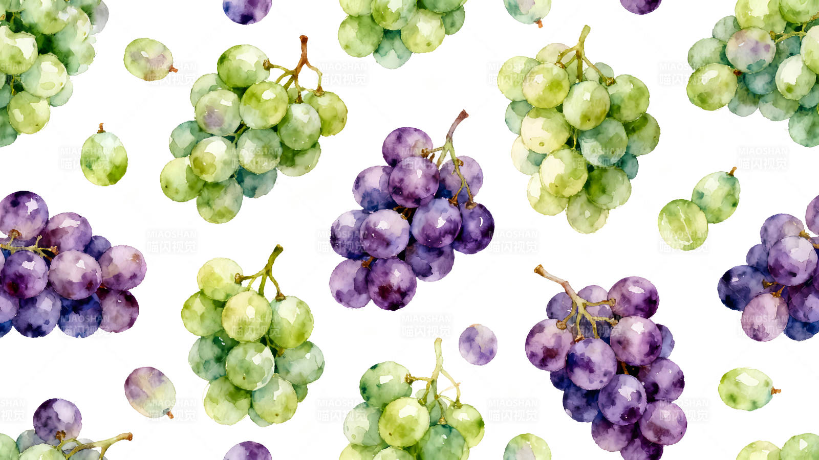 水彩葡萄图案白色背景-图片