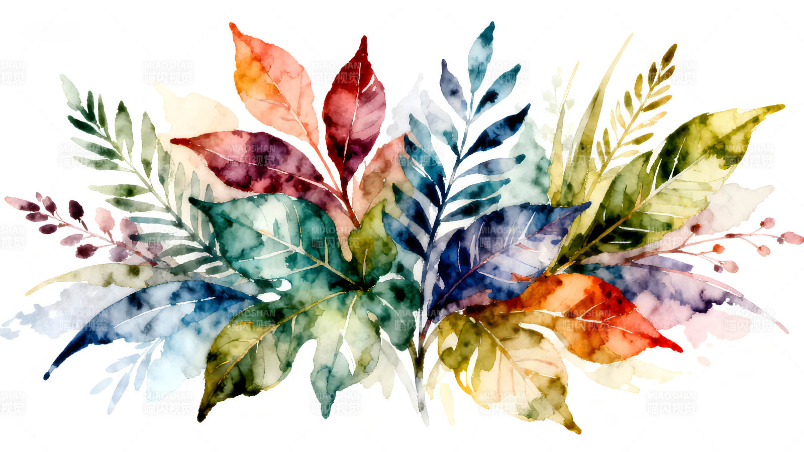 水彩風(fēng)格的植物葉子組合-圖片