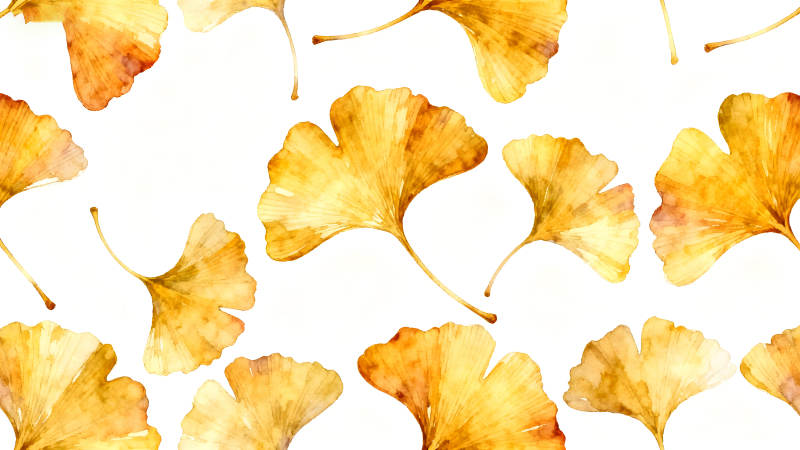 秋日銀杏葉散落畫作-圖片