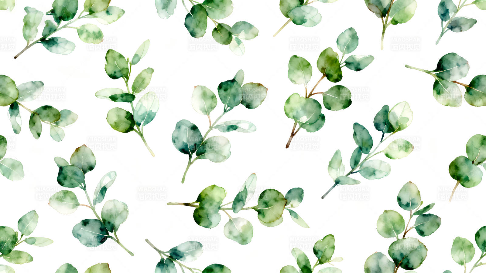 水彩桉樹葉子圖案圖片