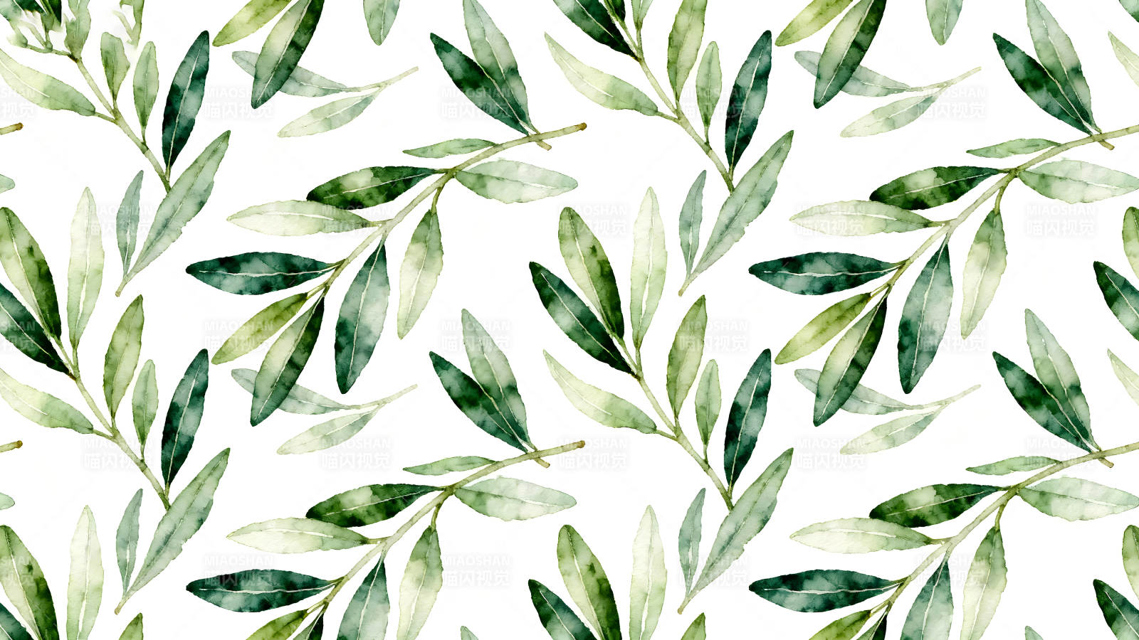 水彩风橄榄叶图案简洁清新-图片