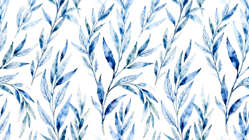 水彩蓝叶植物图案白色背景-图片