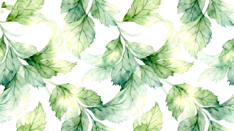 水彩风格的绿色叶片图案-图片