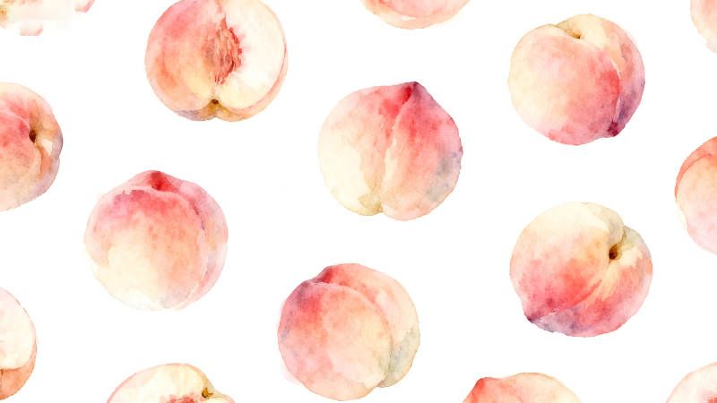 水彩手绘的蜜桃图案-图片