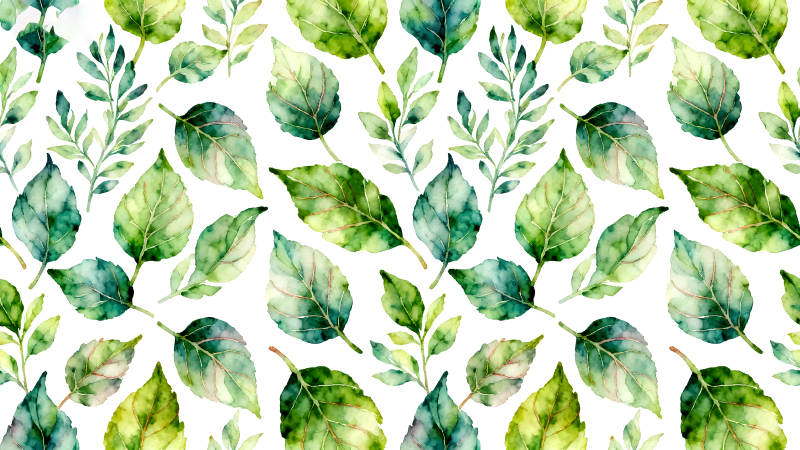 水彩叶子图案清新自然-图片