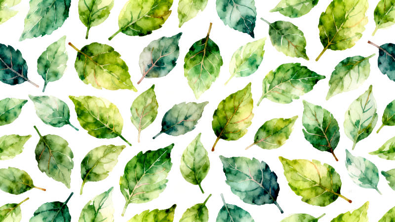 水彩风格的绿色叶子背景-图片
