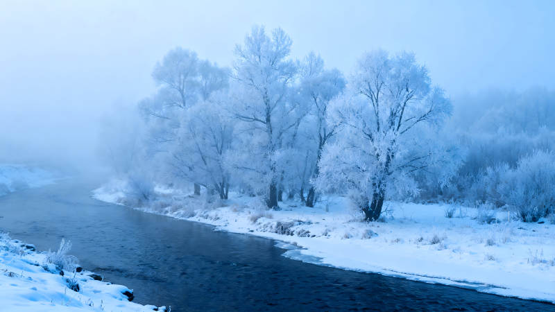 冬日河畔霧凇美景-圖片