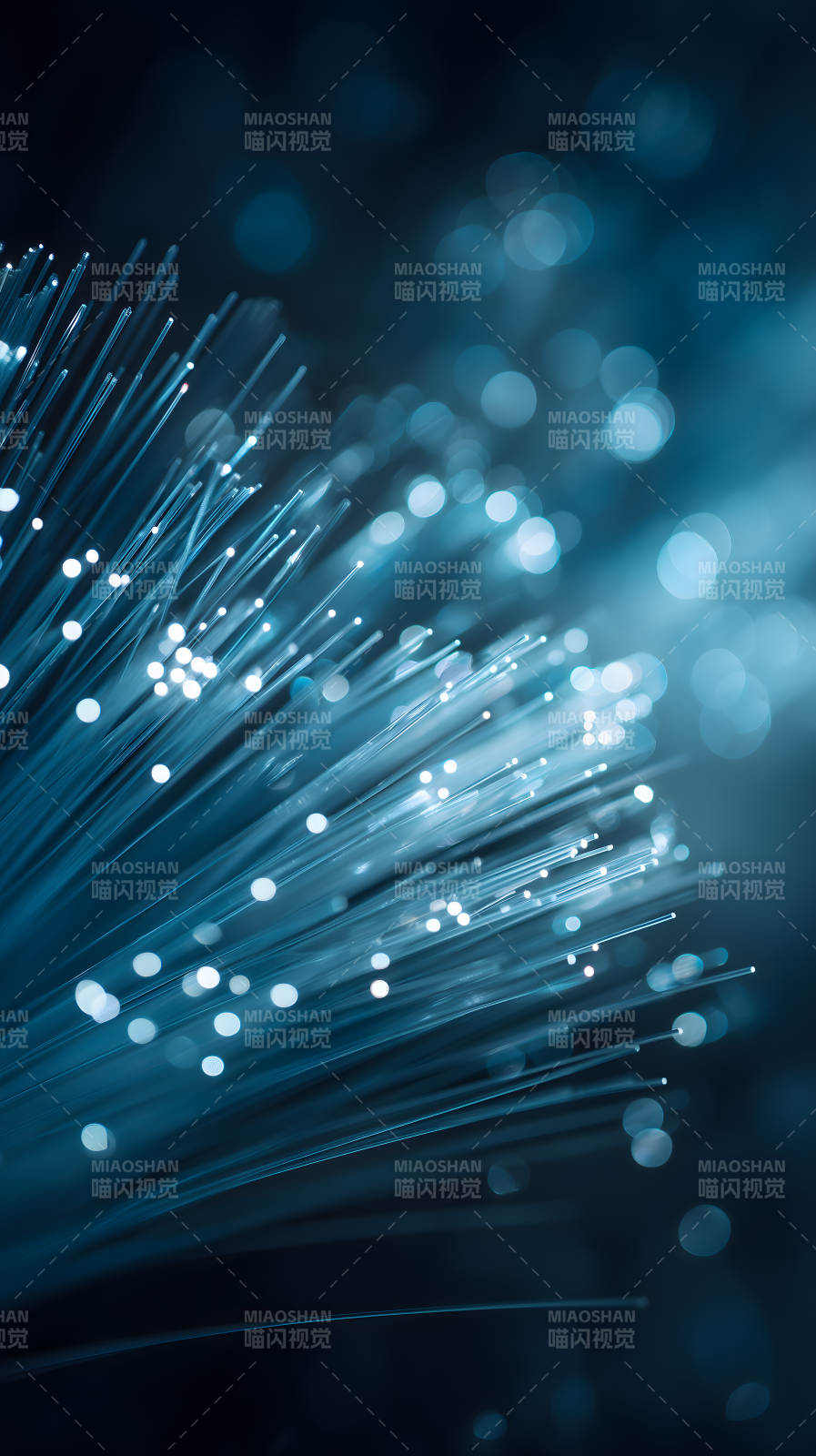 光纤特写科技感蓝调图片