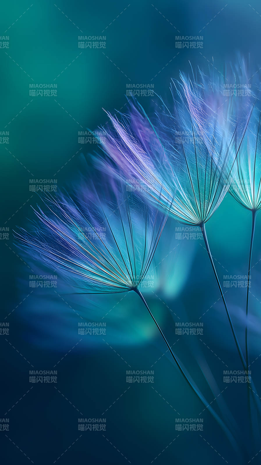 蒲公英梦幻意境-图片