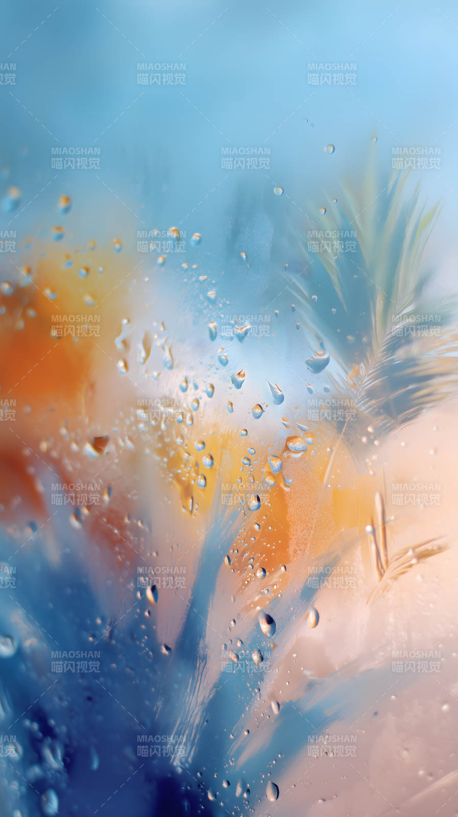 水滴與羽毛的光影-圖片