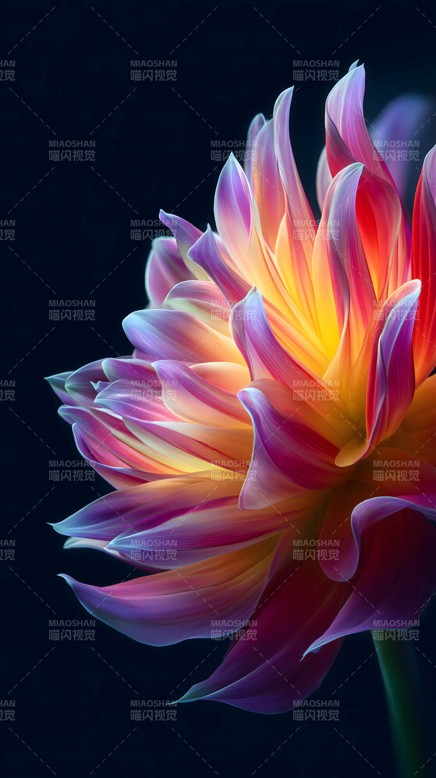 絢麗花朵特寫色彩明亮-圖片