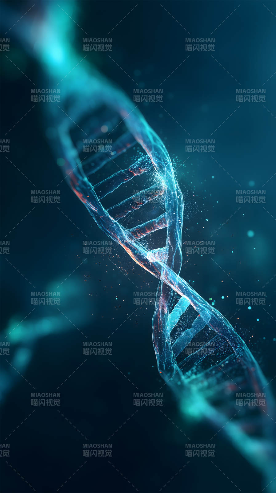 DNA螺旋结构图-图片