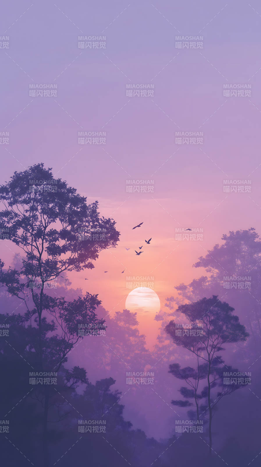 紫霧森林夕陽美景-圖片