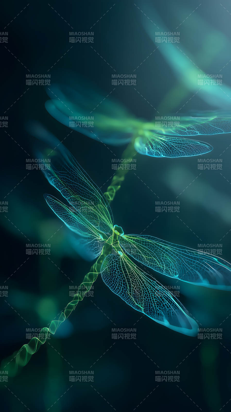 發(fā)光的蜻蜓在黑暗中飛舞-圖片