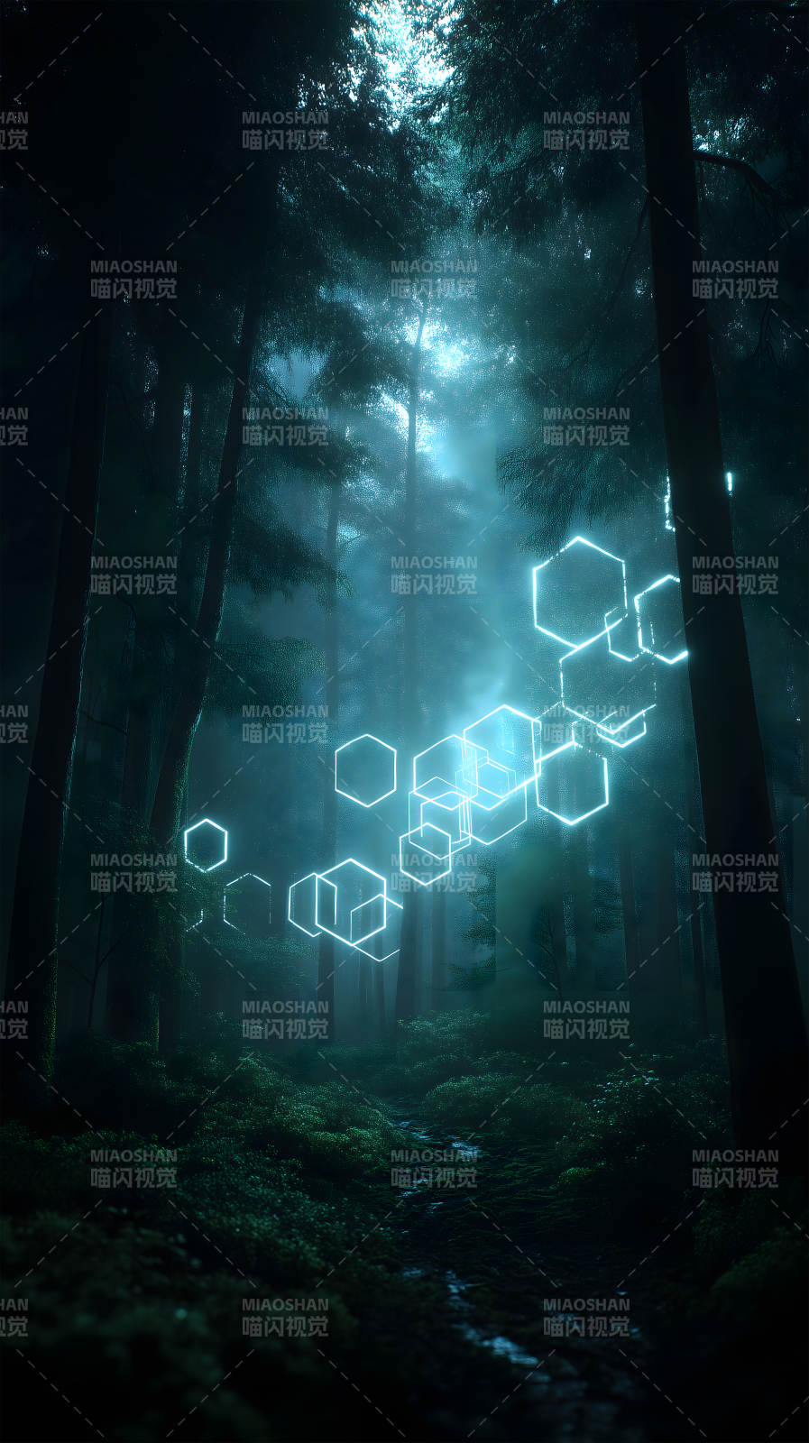 森林光線幾何-圖片