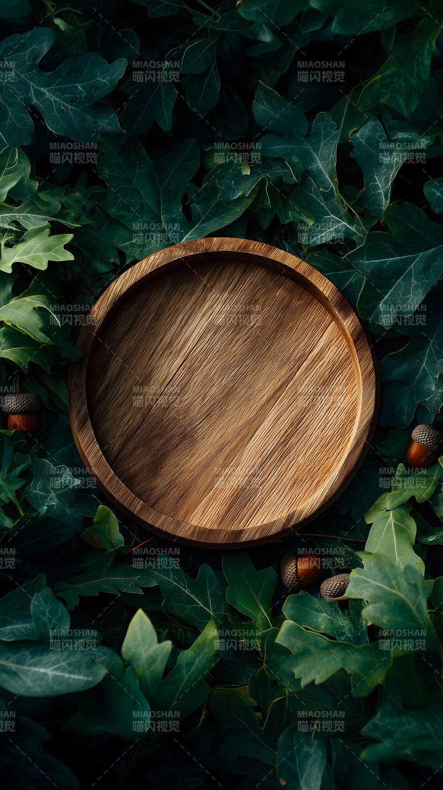 木盤綠葉秋日景象-圖片