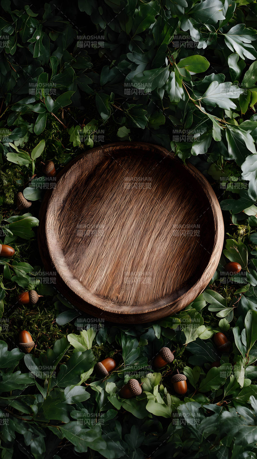 木盤與森林元素-圖片