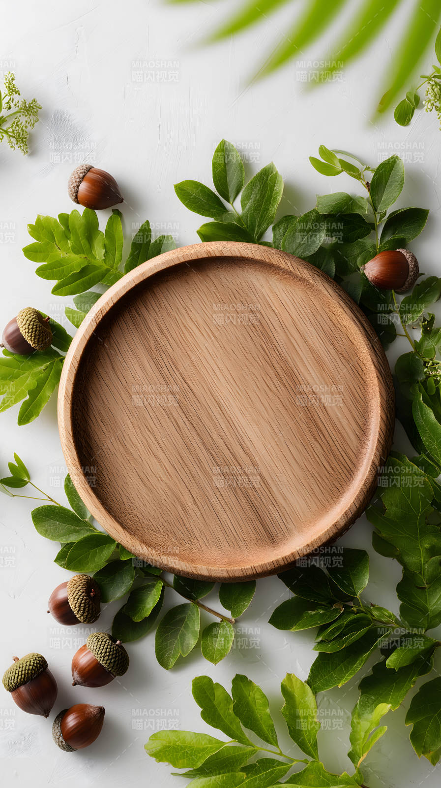 木盤與自然元素-圖片