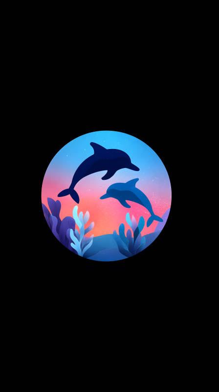 海豚跃出水面美轮美奂图片