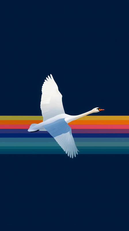 飛翔的白天鵝與彩虹-圖片