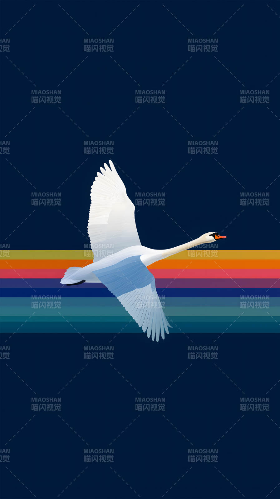 飛翔的白天鵝與彩虹-圖片