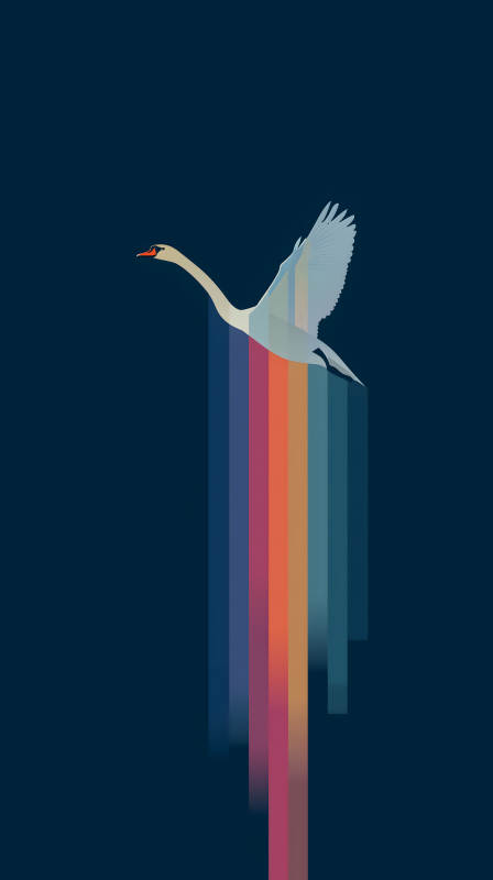 飛翔的白天鵝拉出彩色尾巴-圖片