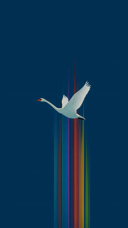 天鹅彩虹飞翔-图片