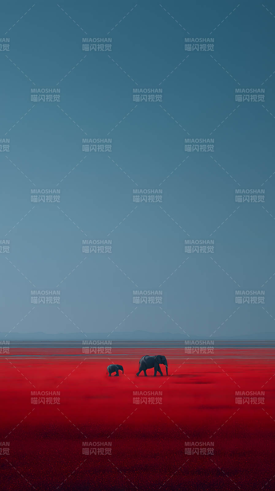 紅海象群行進圖-圖片