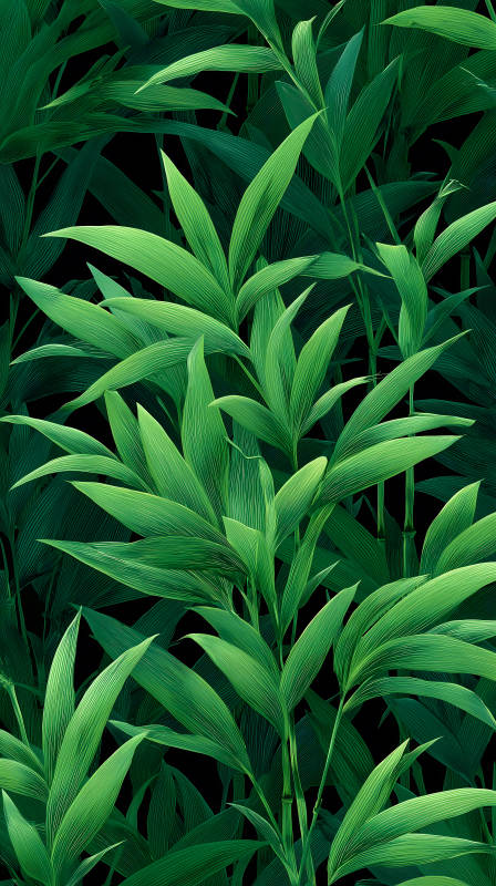 翠绿竹叶繁茂生长-图片