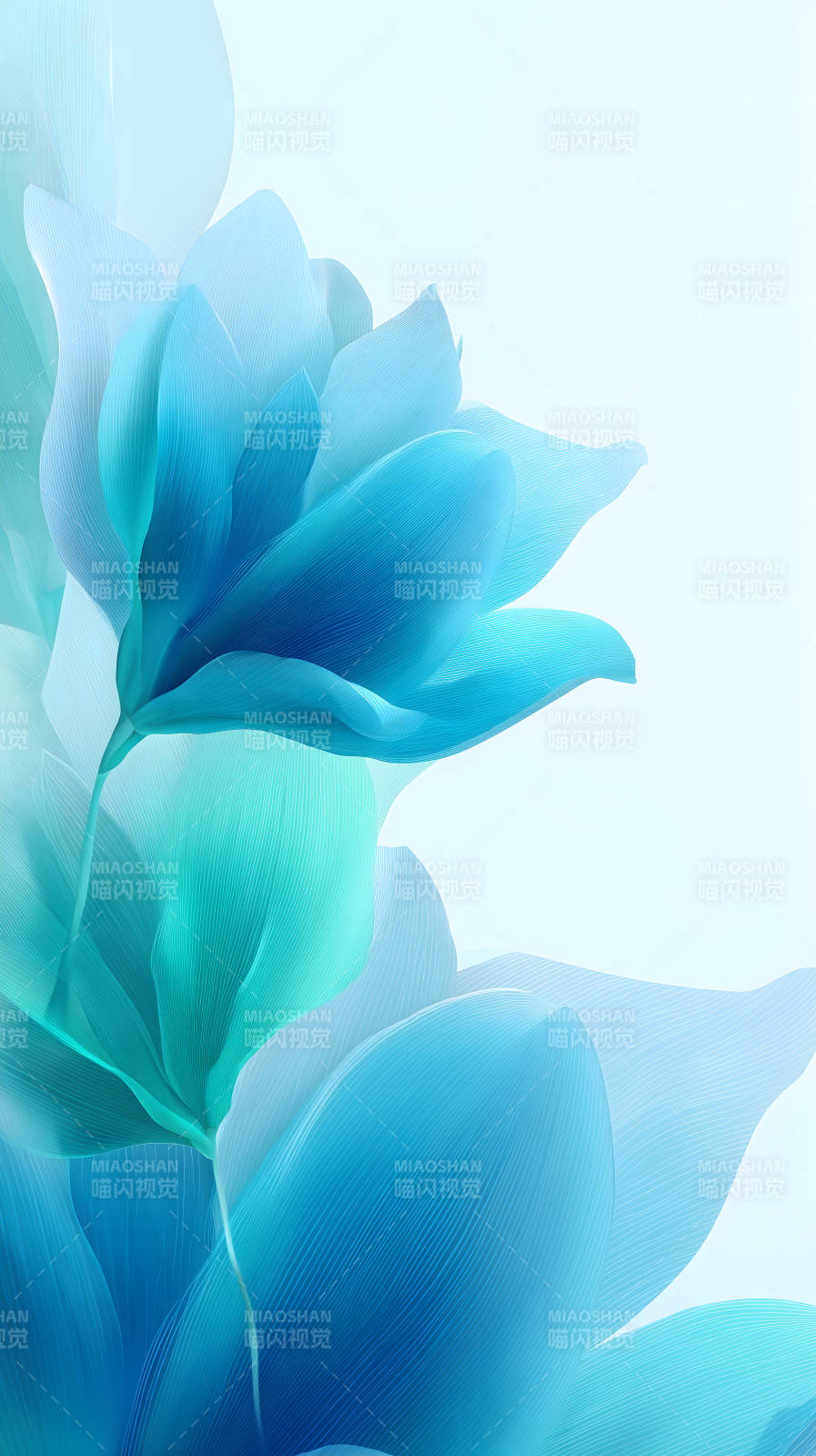 蓝色花朵绽放光影-图片