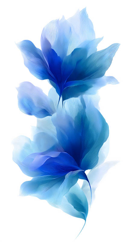 藍色花朵優雅綻放-圖片