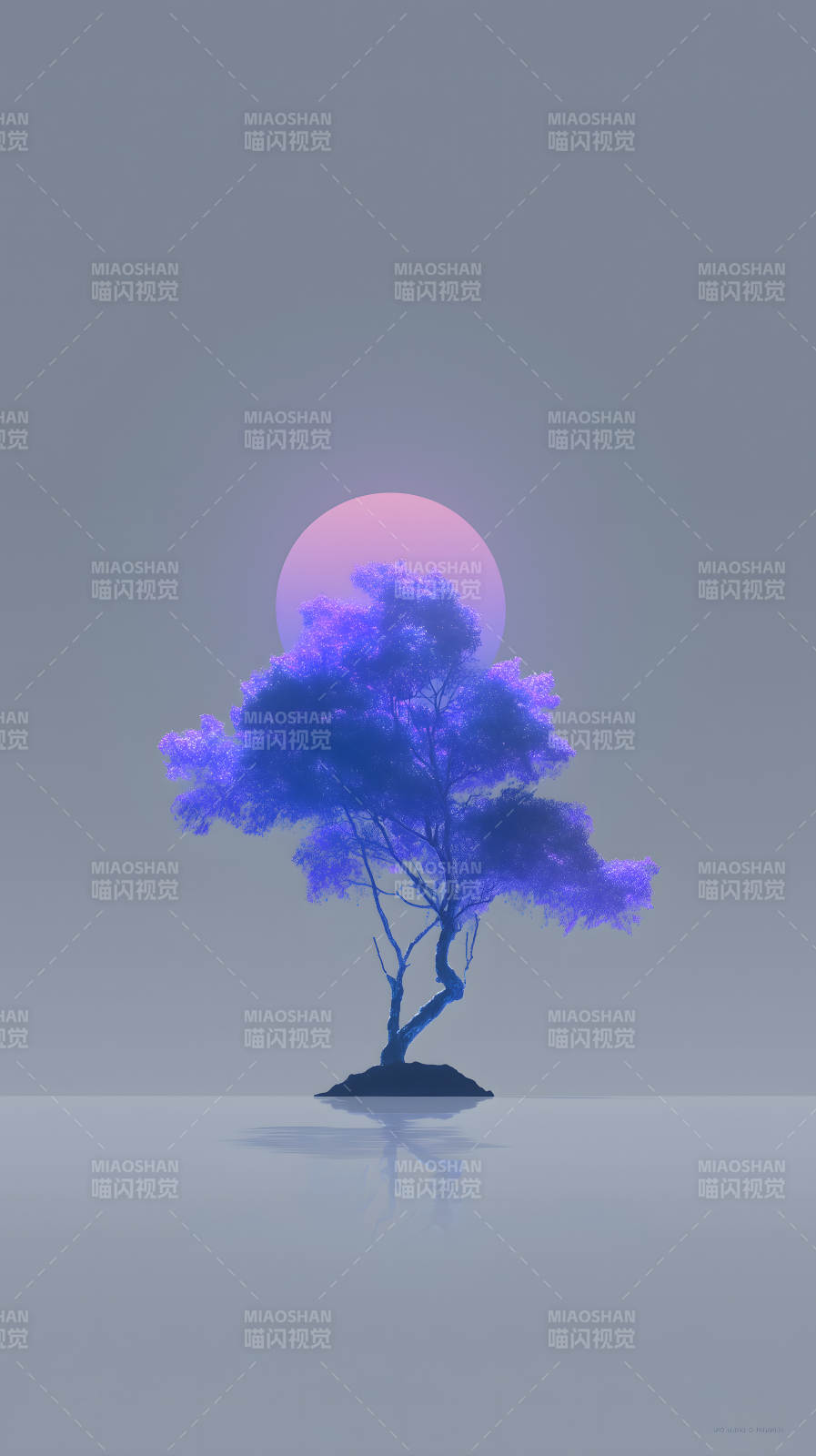 紫樹粉日唯美意境-圖片