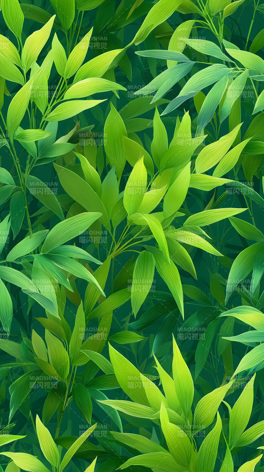 翠綠竹葉繁茂生長-圖片