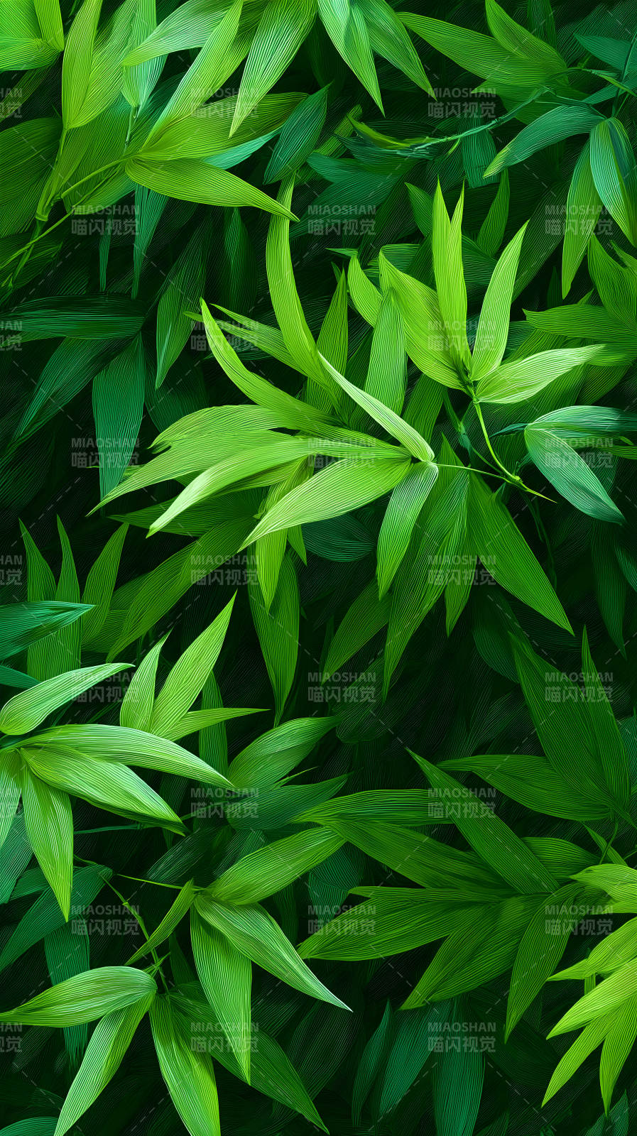 竹葉叢生翠綠滿屏-圖片