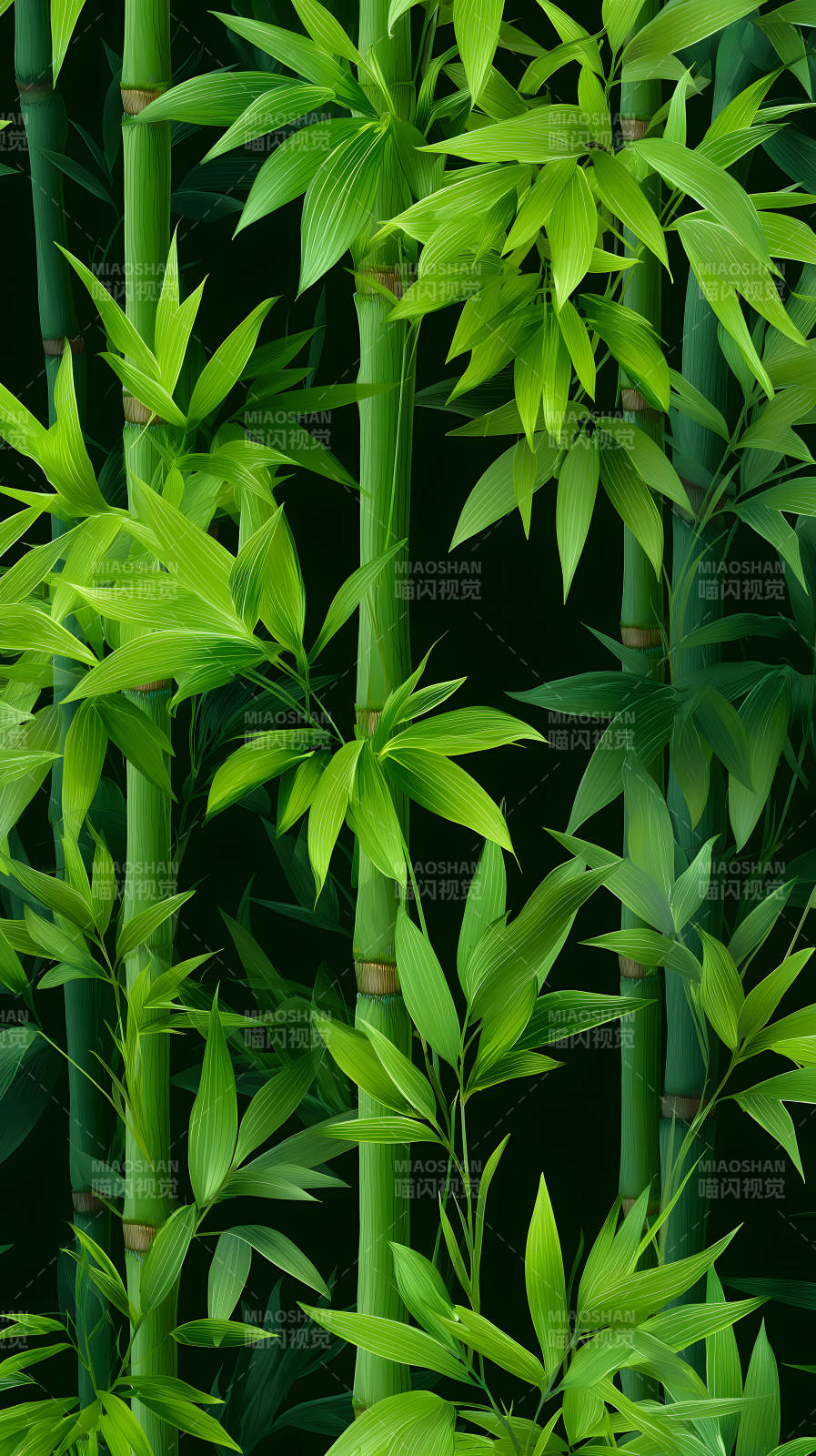 竹林茂盛生機盎然-圖片